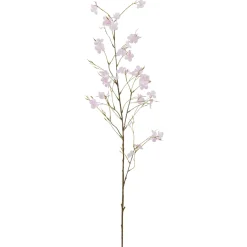 Cornuszweig REAL TOUCH