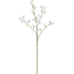 Cornuszweig REAL TOUCH