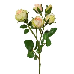 Deko-Blume POLYANTROSE