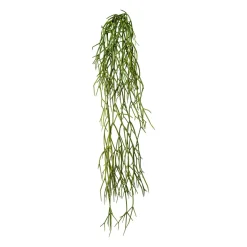 Dekopflanze RHIPSALIS
