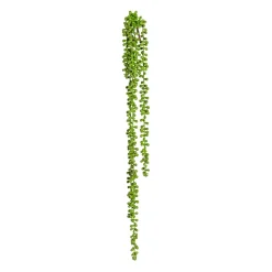 Dekopflanze SEDUM