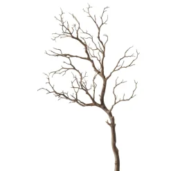 Dekozweig ASTRA