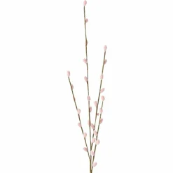 Dekozweig Weidenkätzchen FLOWERS