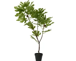 Feigenbaum im Topf TREE