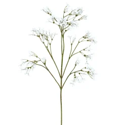 Jasminzweig JASMIN