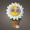 Solar Blume Augenbewegung SOLAR
