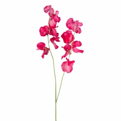 Wicke FLOWERS